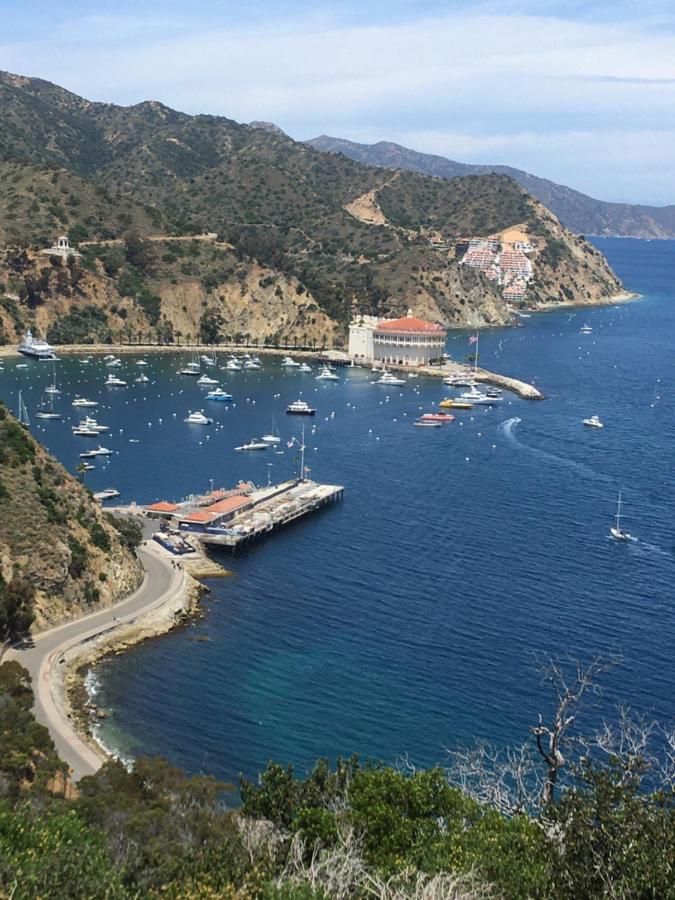 The Avalon Hotel In Catalina Island Exterior foto