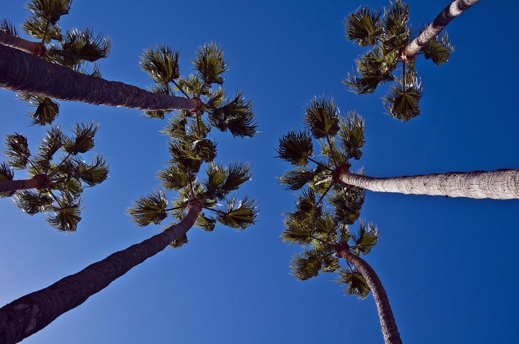 The Avalon Hotel In Catalina Island Exterior foto