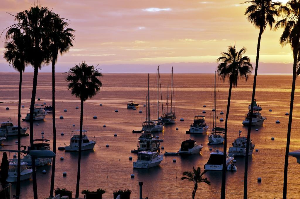 The Avalon Hotel In Catalina Island Exterior foto